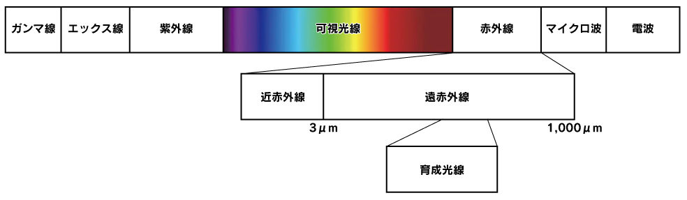 遠赤外線